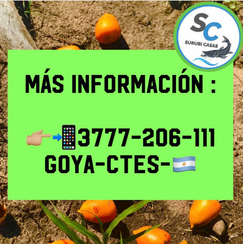 Terrenos Goya - Mercedes Cossio