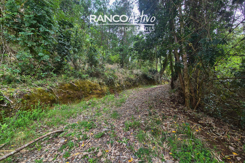 Casa En Parcela De 6600m2 En Valdivia