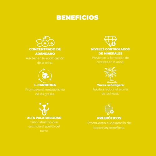 Alimento Para Perro Nupec Urinary Management 2kg