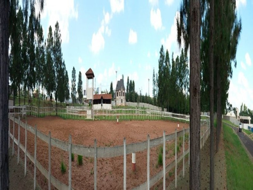 Imagem 4 de 15 de Terreno - T34 - 3125628