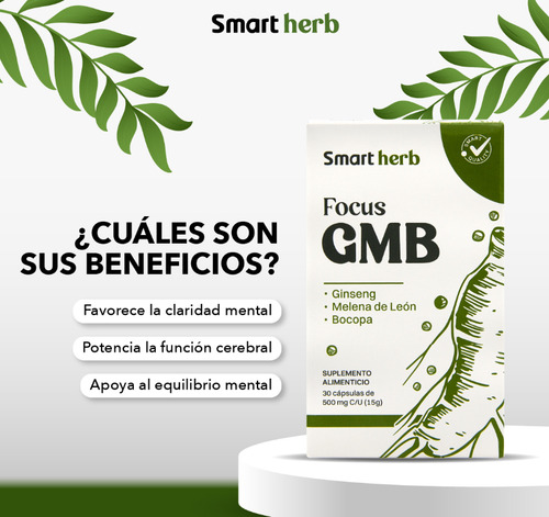 Smart Herb Paquete 2 piezas Focus GMB Anahuac Gingseng Suplemento alimenticio Sin sabor