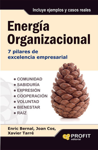 Energía Organizacional 7 Pilares De Excelencia Empresarial