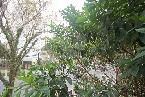 Sumaré - 353-im340944