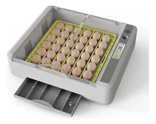 Incubadora Huevos 36 Hhd Cont Automatico Temperatura Volteo