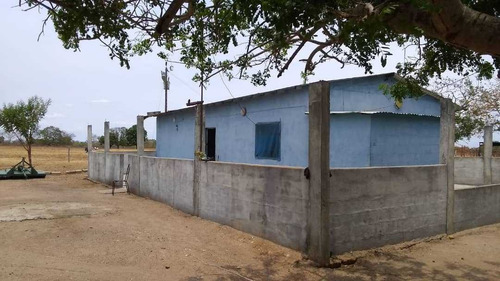 Imagen 7 de 30 de Lotes De Terreno La Esperanza Calabozo Guarico