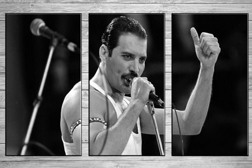 Cuadros Queen Freddie Mercury 90x45 Lienzo Ideal Habitacion