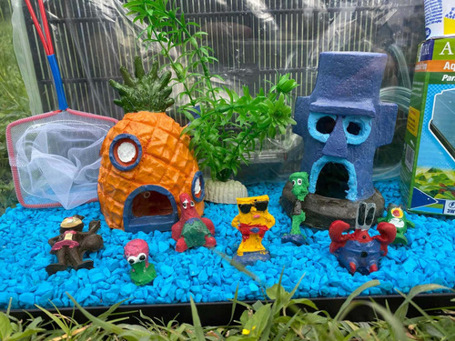 Kit Pecera Bob Esponja (5 Galones) (Usado)