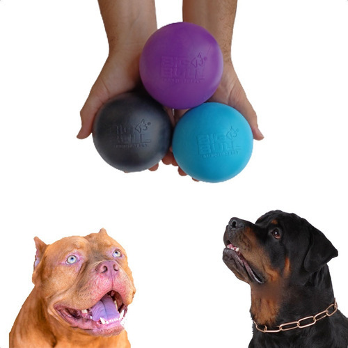 Bola Grande Resistente P/ Pitbull Labrador Golden Retriever Cor Azul Bebe, Preto e Roxo