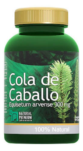 Cola De Caballo 300 Mg 60 Capsulas Natural Premium