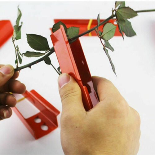 Cortadores De Espinas De Espinas De Rosas De 2 Piezas Para