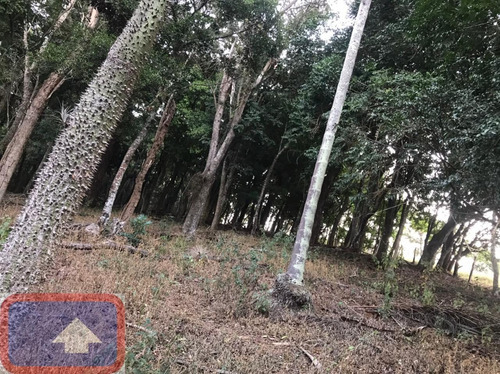 Lindo Sítio A Venda Atibaianos Em Bragança Paulista/sp - 14550