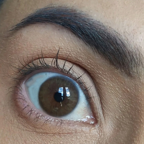 Imagen 2 de 6 de Siesta - Crystal Iris Khaki - Lentes De Contacto
