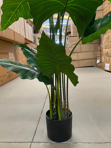 Planta Taro Artificial Orelha Elefante Decoração Sala 120cm Cor Verde