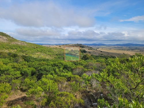 Imagen 24 de 30 de 79 Hás Campo Criador Y Serrano En Corte De La Leña