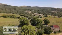Comprar Campo En Venta 173 Ha En Aguas Blancas  (ref: Atm-7918)