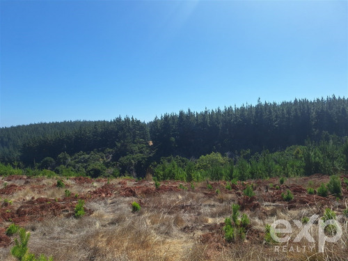 Sitio Vista Amplia En Venta En Pichilemu
