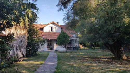 Casa A Reciclar En Amplio Lote - Adrogué