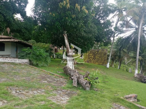 Imagem 12 de 29 de Fazenda, Venda, 17,4 Hectares, Camaçari, Excelente Oportunidade! - Te0021