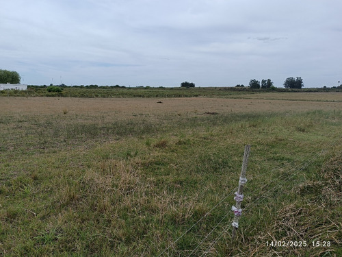 Vendo 6 Has Sobre Ruta 6 Entre Santa Rosa Y Sauce, Casa De 3 Dormitorios Consulte