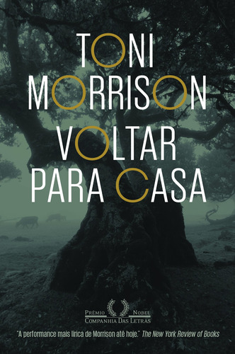 Voltar para casa, de Morrison, Toni. Editora Schwarcz SA, capa mole em português, 2016