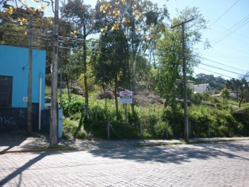 Imagem 1 de 4 de Terreno - Petropolis - Ref: 4428 - V-4428