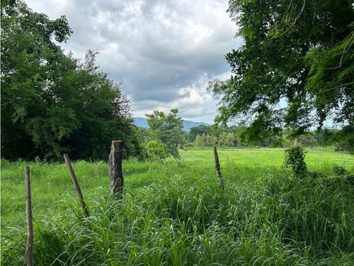 Impresionante Rancho En Manuel Avila Camacho - Tonalá