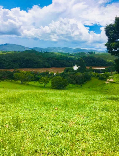 Imagem 6 de 14 de G15 - Lotes De 10.000mts Grande Oportunidade De Lançamento.