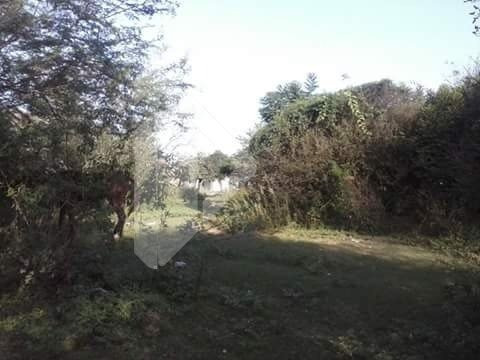 Imagem 3 de 14 de Terreno - Olaria - Ref: 190510 - V-190510