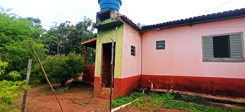 Sítio Com Mais De 20 Mil M2 E Pomar.