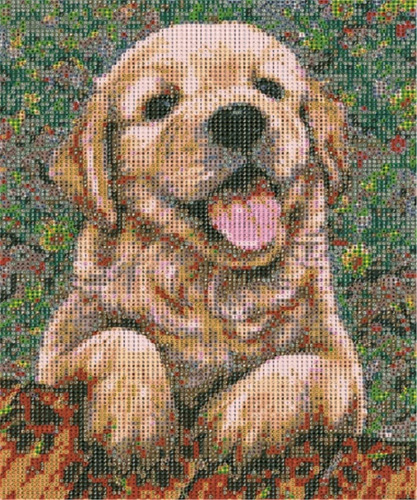 Diamond Painting Pintura Diamante 30x40cm Perro Promo