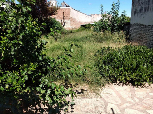 Imagen 6 de 9 de Barrio San Martín - Casa Con 2 Dormitorios