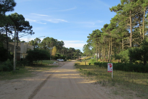 Lote En Venta-pinamar-zona Alamos-1050 M2