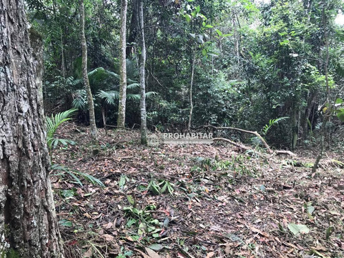 Imagem 5 de 10 de Terreno De 2.000m² À Venda No Jardim Varginha - Te0971