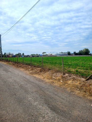 Rinconada De Maipu/autopista Del Sol 6 Hectareas