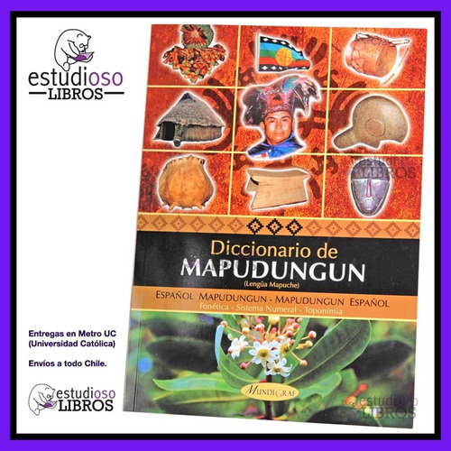 Diccionario Mapudungun Lengua Mapuche Lenguaje Libro Idioma