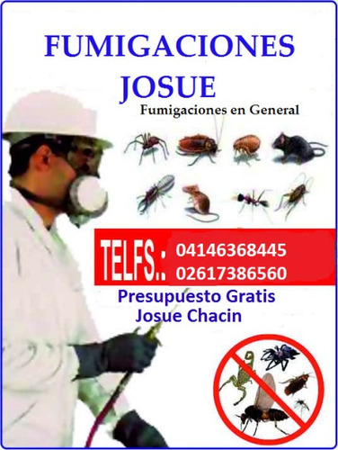 Imagen 1 de 10 de Servicion Fumigaciones Chiripas Cucarachas Termitas Roedores