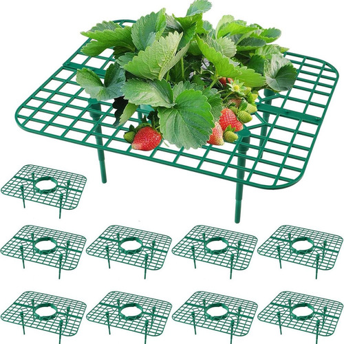 Soporte Para Fresas Soportes Para Fresas Para Jardín Bastido