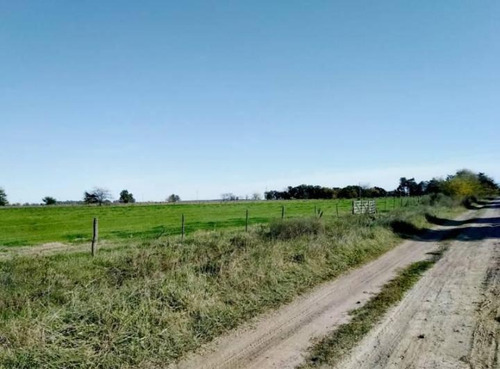 Campo 30 Hectareas - Miramar - Paraje Santa Irene