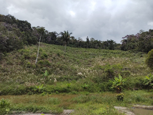 Imagem 18 de 25 de Juquitiba/sitio Com Lago/bom Para Plantar Ou Criar