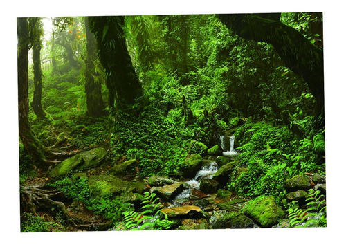 Pvc Imagen 3d Pintura Acuario Decorativo Accesorio 122x46cm
