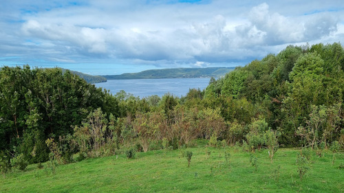 Vende Hermoso Predio De 7,38 Hás En Isla Tranqui, Chiloé!