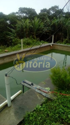 Imagem 15 de 21 de Chácara Para Venda No Bairro Dos Finco/ Vila Tupã, 3 Dorm, 6 Vagas, 100 M, 3982 M - 9851