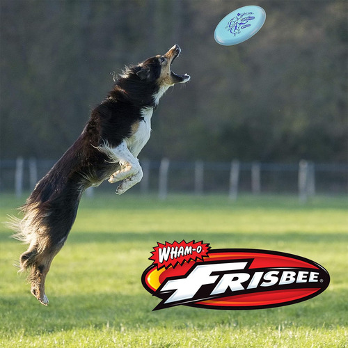 Disco Volador Wham-o Frisbee Cool Flyer 9.95 Pulgadas Paquete De 3 (gris + Verde + Azul)