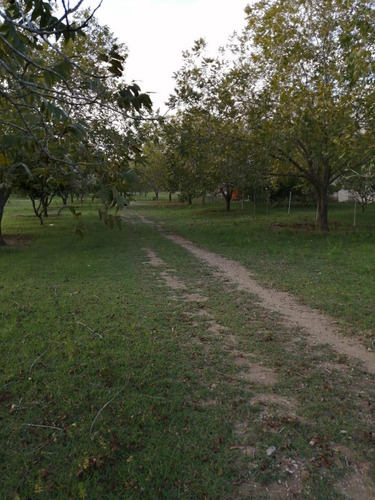 Rancho A La Venta En Montemorelos