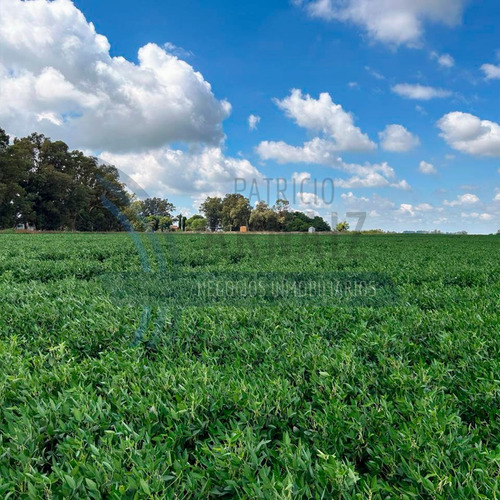 Se Vende Excelente Campo En Bolivar. 84 Hectáreas