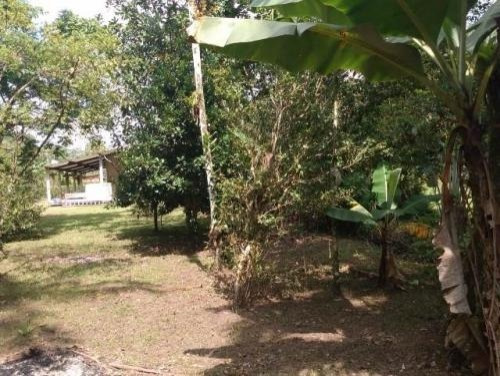 Imagem 4 de 15 de Chacara - 7130 Ap - 68463171