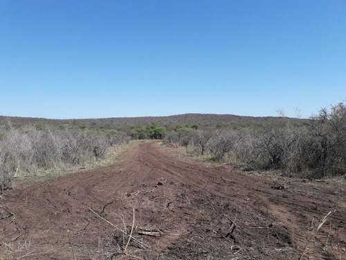 Imagen 5 de 5 de Venta Terreno Depto Tulumba Cordoba