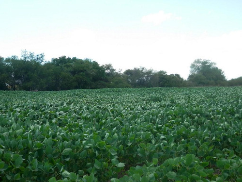 Estancia Isla Vizcaino 1569ha Ganadero Agricola Rio Negro Y Rio Uruguay