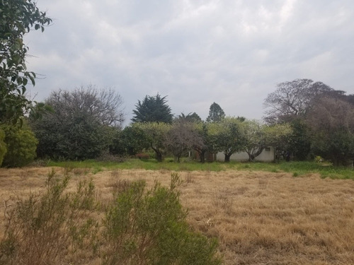 Imagen 7 de 14 de Venta Chacra San Fuentes 3692, 3 Hectáreas!!!