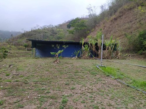 #1587 Planta Industrial Frigorífica De 8.000m2, La Cumaca - Paracoto - Miranda.